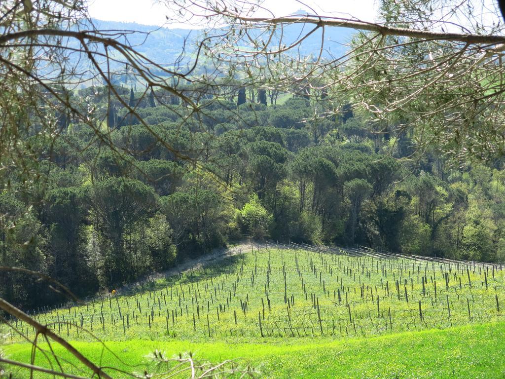 Agriturismo Il Palagetto Pomarance Bagian luar foto