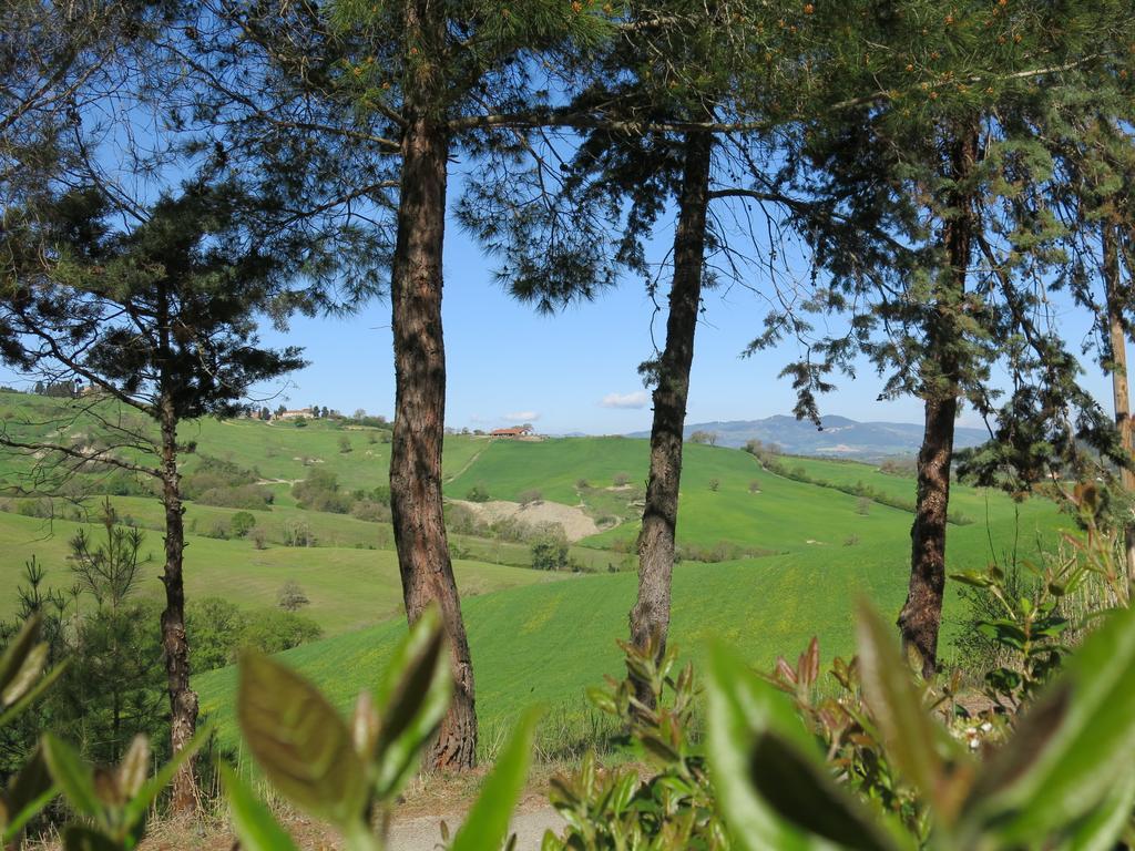 Agriturismo Il Palagetto Pomarance Bagian luar foto