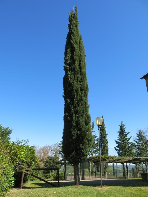 Agriturismo Il Palagetto Pomarance Bagian luar foto